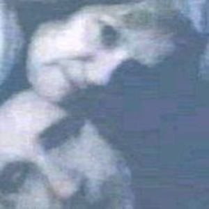 Meet your Posher, Anne